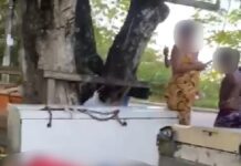 VÍDEO: Suspeito de assalto é agredido e esfaqueado por populares revoltados no Tarumã