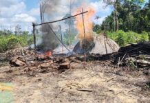 Ipaam destrói 18 fornos ilegais de fabricação de carvão na AM-010