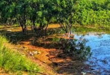 Corpo de homem é encontrado boiando no Rio Negro próximo à Ponte Phelippe Daou
