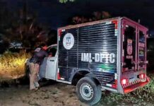 Após cachorro arrastar braço para o meio da rua, Polícia encontra um corpo esquartejado em mata do Japiim