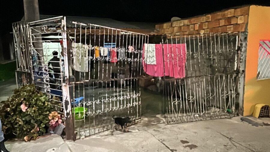 fe304c4b-fd44-4a2c-b539-e1021bb215a0