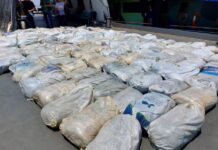 Operação Hórus apreende cerca de 16 toneladas de pirarucu seco em Coari