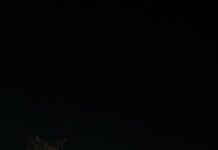 Populares encontram corpo em área de mata na Colônia Antônio Aleixo