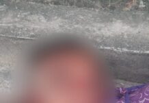 Dentro de uma sacola, cabeça humana é encontrada em rip-rap no Tarumã