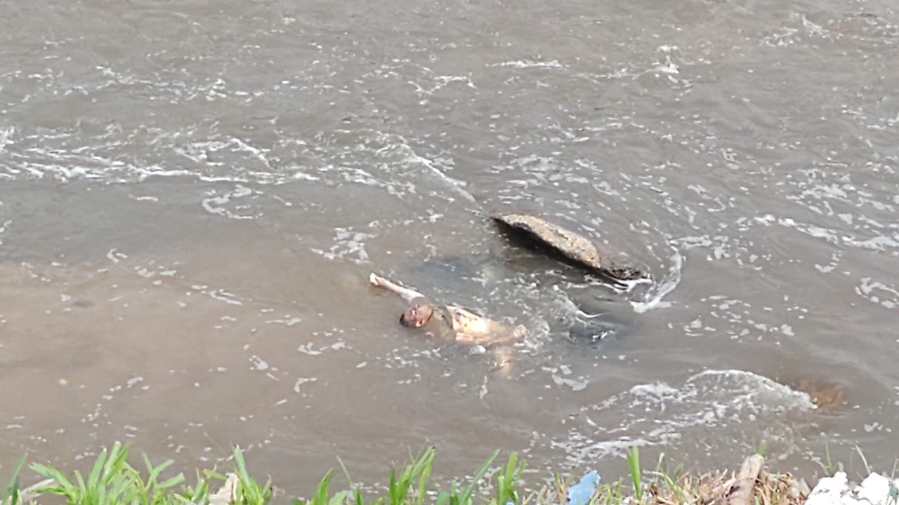 IMG-20231125-WA0007 Com a mãos e pés amarrados, corpo é encontrado boiando em igarapé de Manaus