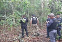Corpo em decomposição é encontrado em área de mata no Distrito