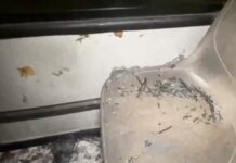 Criminosos invadem, roubam e aterrorizam passageiros da linha 448 na Cidade Nova em Manaus