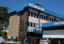 Hemoam promove primeira webpalestra de hematologia para municípios do interior