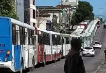 TRT-11 proíbe a greve geral do Sindicato dos Rodoviários