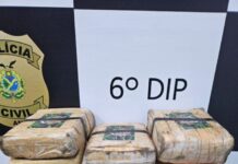 Polícia prende dupla e apreende 26 tabletes de maconha tipo skunk