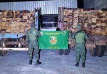 Polícia apreende 32 metros cúbicos de madeira serrada em Manacapuru