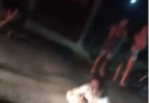 VÍDEO: Mulher se desespera ao ver o primo morto a tiros no Petrópolis