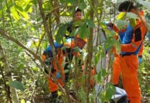 Menina de 7 anos é estuprada e irmão e mãe são mortos em área de mata em Benjamin Constant no Amazonas