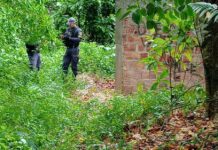 Corpo decapitado é encontrado em área de mata na Compensa