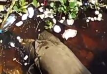 Estivador encontra corpo esquartejado boiando no rio em uma bolsa militar em Manaus