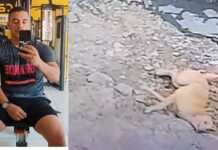 VÍDEO: Policial é suspeito de matar cachorro em Tefé