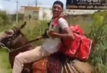 Inovador! Motoboy de aplicativo trabalha montado em burro após perder moto em blitz