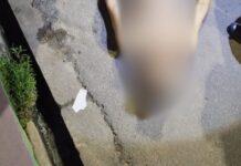 Pistoleiros perseguem e executam jovem a tiros no bairro Tarumã; veja