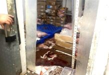 DB é alvo do MP-AM após Visa encontrar 1,6 toneladas de carne estragada na unidade do Centro de Manaus