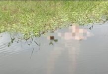 Cadáver degolado é encontrado em lago da Zona Leste de Manaus