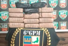 Policia apreende mais de 14 kg de drogas escondidas em barco no interior do AM