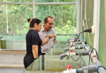 Amazonas firma parceria com universidade do Peru para fortalecer vigilância em saúde na região