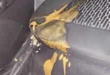 Passageiro deixa “cagada” em carro de motorista de app e se recusa a pagar limpeza