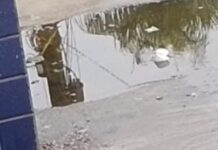 Corpo de homem é encontrado todo furado de faca na calçada da arena Amadeu Teixeira