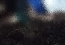 “Guerra” entre facções criminosas pode ter motivado chacina no bairro São Raimundo; cena forte!