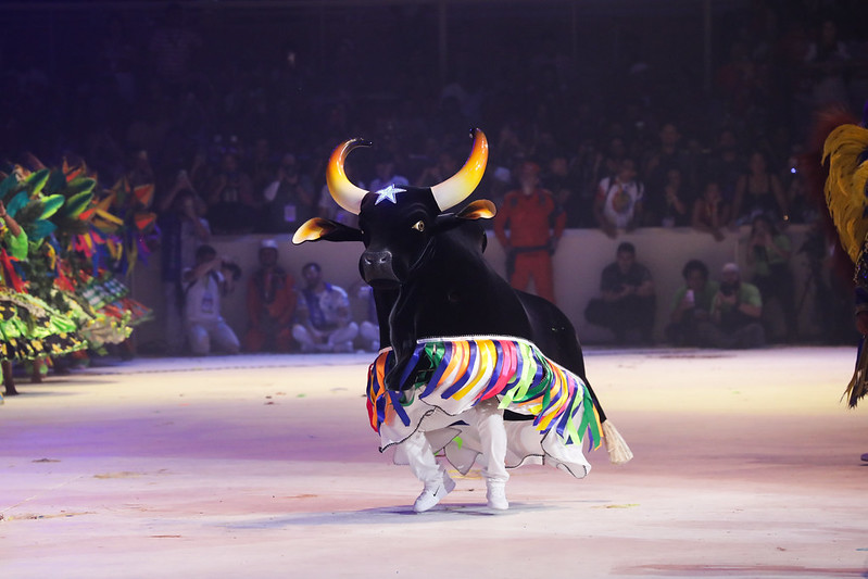Festival-de-Parintins-2024_Boi-Caprichoso-abre-primeira-noite-e-empolga-publico-2_-Foto-Arthur-Castro-Secom