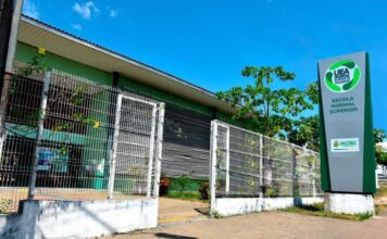 UEA abre seleção para bolsas de R$ 700 mensais em programa de tutoria