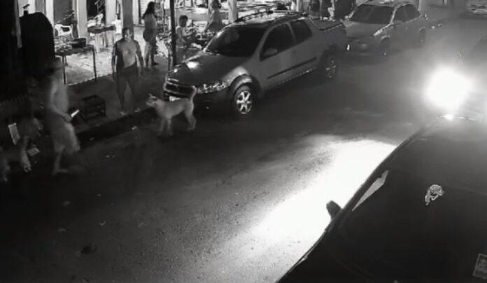 Captura de tela 2024-07-15 101705