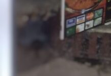 C0rp0 é encontrado em frente a um restaurante na Avenida Brasil na Compensa