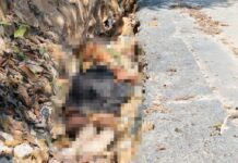 Homem é sequestrado e morto por membros de facção no Ramal do Ipiranga