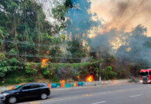 Fogo em vegetação na Avenida Mario Ypiranga assusta moradores e pedestres
