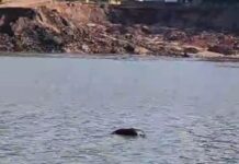 C0rp0 é encontrado boiando no Rio Solimões em Manacapuru