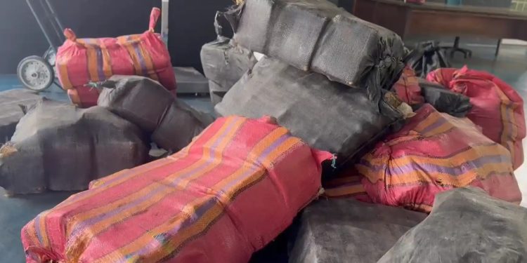 Imagem-do-WhatsApp-de-2025-03-31-as-15.23.07_1c12c6d6-750x375