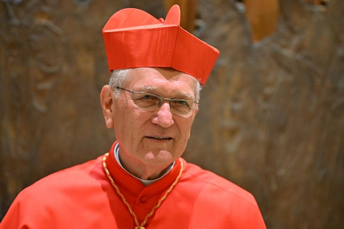 Cardinal_Steiner