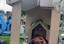 Casal é flagrado dormindo abraçado sobre sepultura em Cemitério de Coari-AM