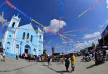 MPF pede anulação de contrato de crédito de carbono em Borba