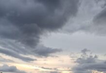 Tefé inicia nova etapa de pavimentação urbana com chegada de insumos e previsão de 15 km de asfalto