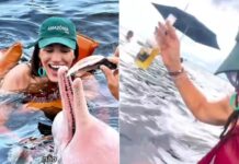 VÍDEO: Influenciadora joga cerveja para boto e revolta internautas