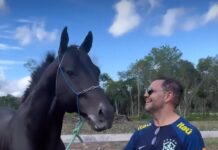 Deputado Rozenha declara apenas R$ 500 mil em bens, apesar de exercer três cargos e ser sócio de rede de calçado de luxo