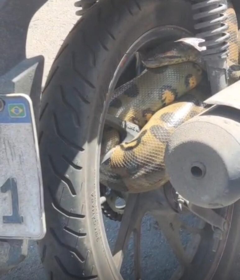 08d9d572-ca64-47ef-b605-aaf9cb45da37