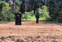 Granada é encontrada em área de Mata no Tarumã em Manaus