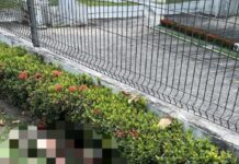 Homem morre atropelado na Av. dos Oitis, em Manaus