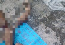 Membros de corpo esquartejado e carbonizado é encontrado na zona norte de Manaus