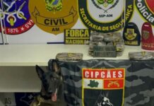 Base Arpão 3: Cadela policial encontra 13 quilos de cocaína escondido em armário de embarcação