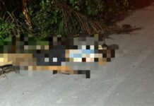 Homem é executado com cinco tiros na cabeça na zona oeste de Manaus; polícia investiga ligação com o tráfico