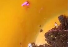 ECA: Homem acusa padaria de Manacapuru, de vender bolo com rato dentro